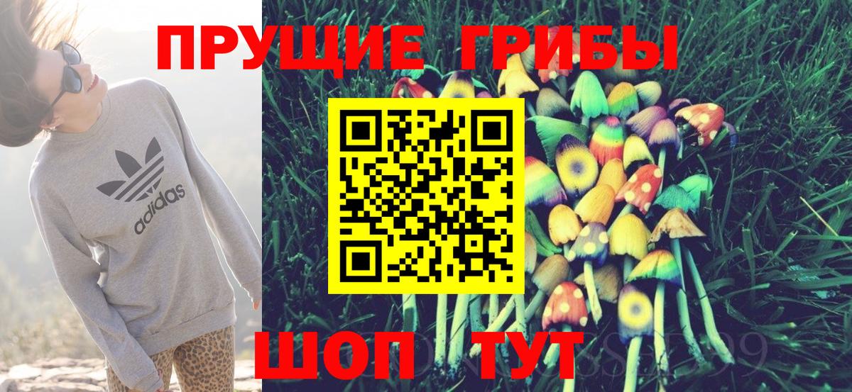 Псилоцибиновые грибы ЛСД Нальчик