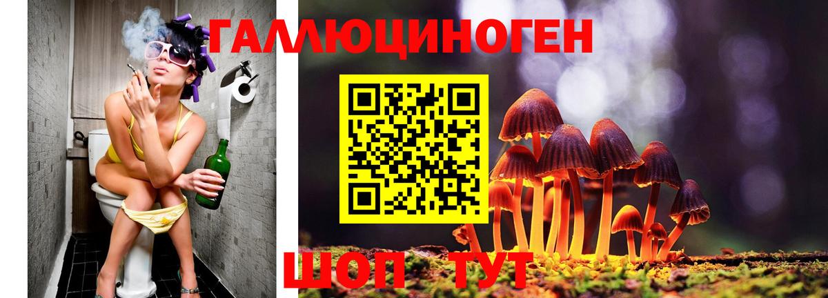 Галлюциногенные грибы GOLDEN TEACHER  продажа наркотиков  Нальчик  Вход с VPN 