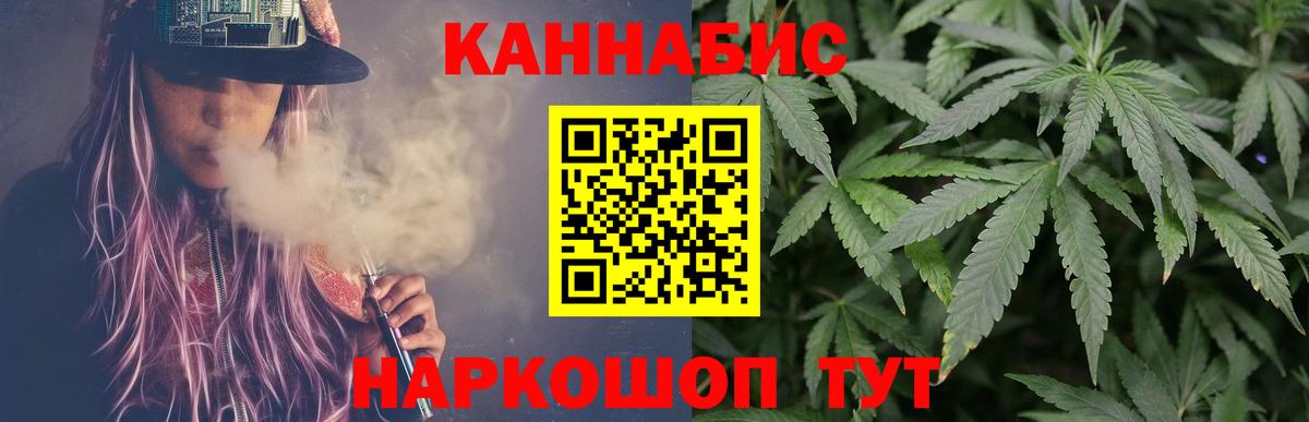 Бошки Шишки планчик Нальчик